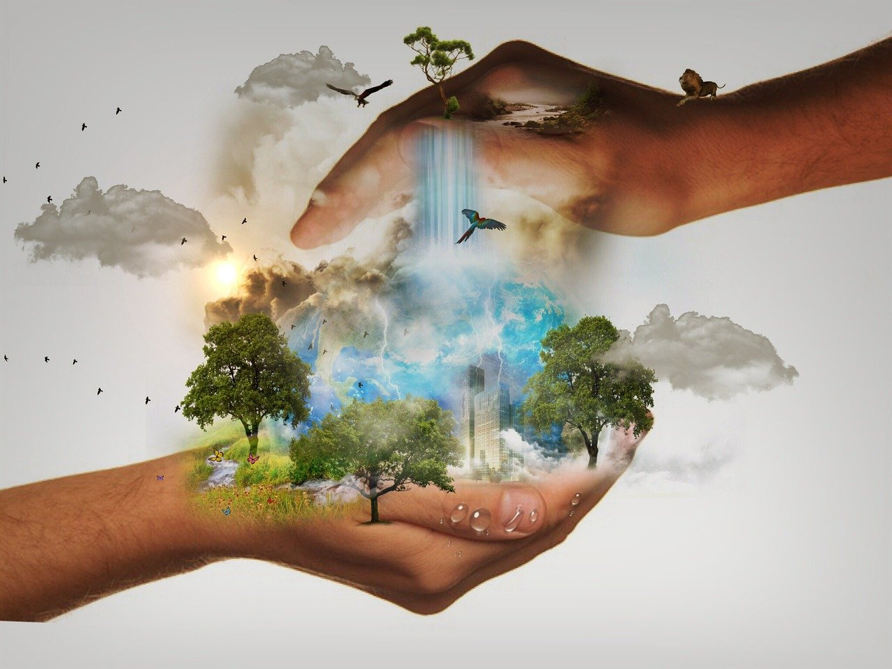 Wildlife Conservation
