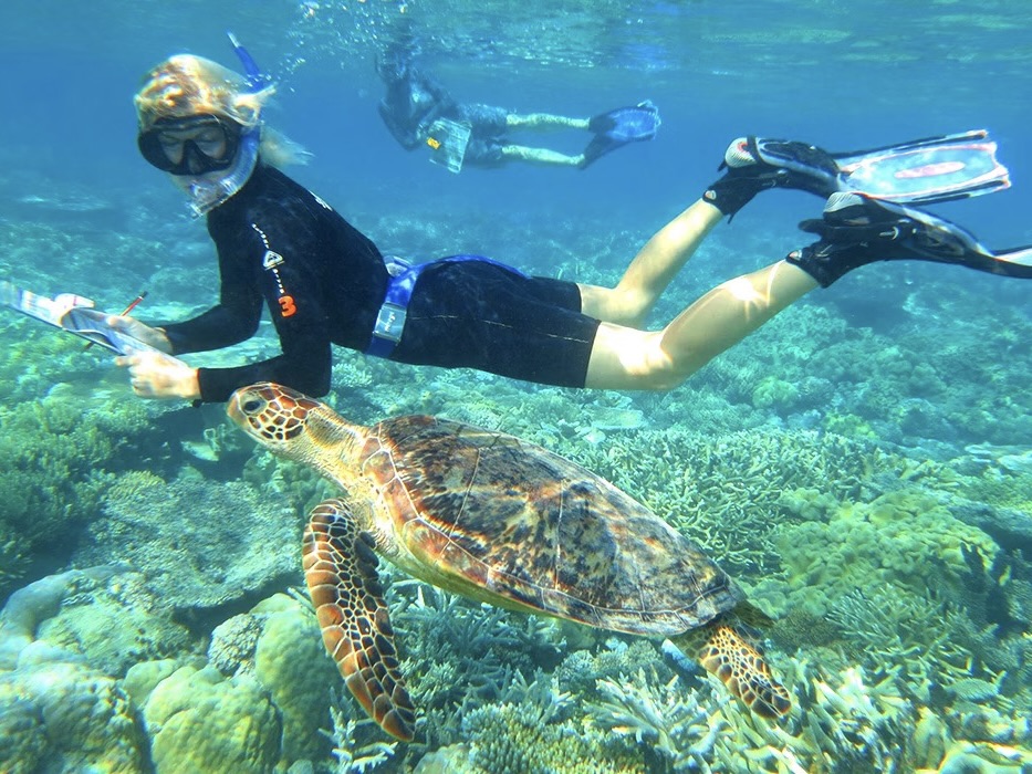 Marine Conservation