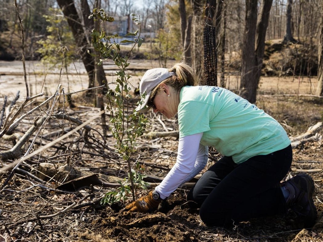 Forest Conservation