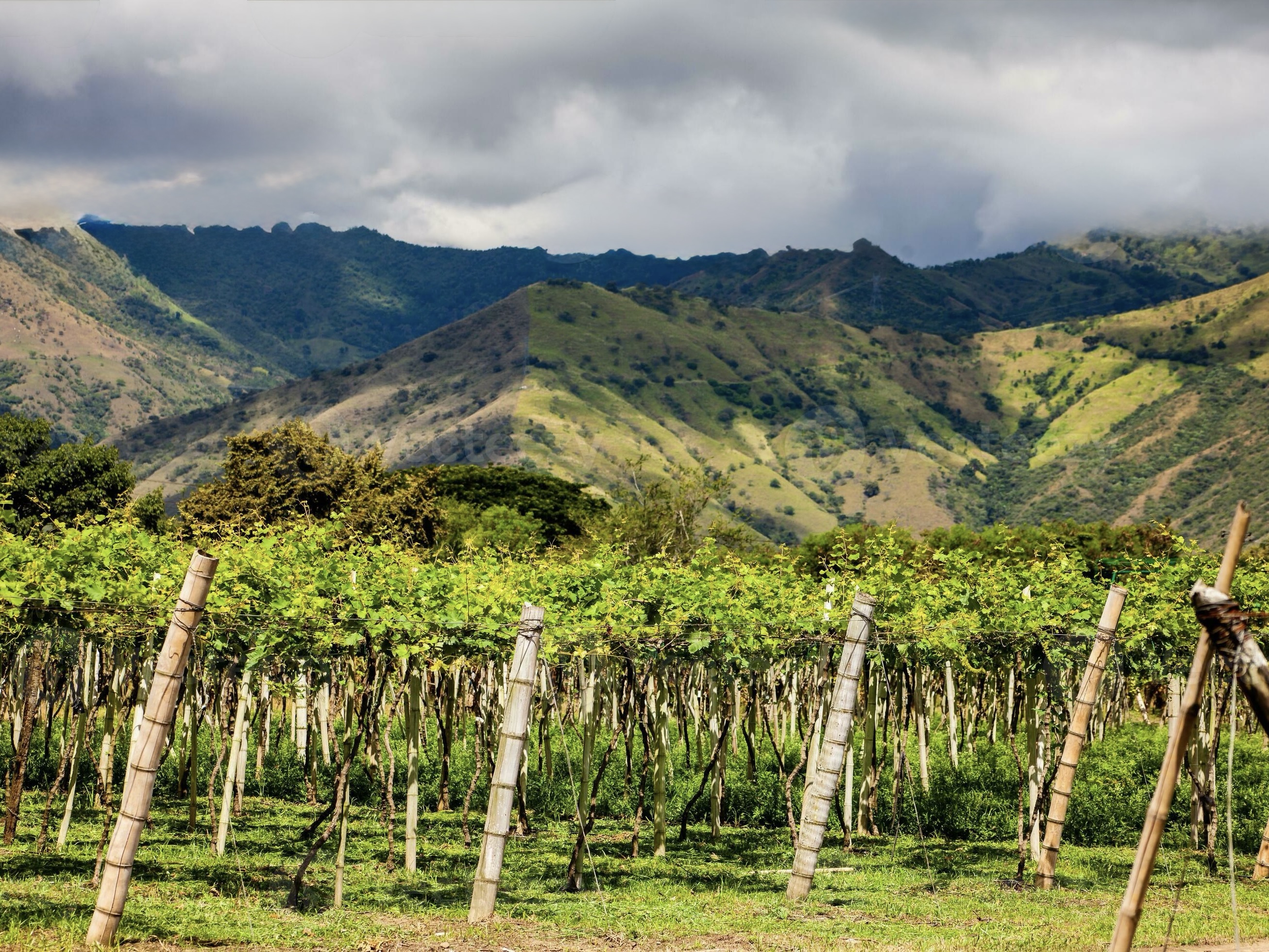 Agriculture Conservation